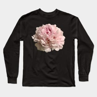 Pale Pink Peony Close-up Long Sleeve T-Shirt